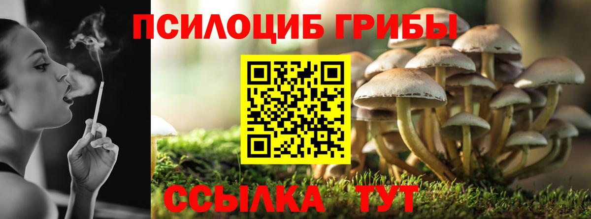Псилоцибиновые грибы мухоморы  Вход с VPN  Галлюциногенные грибы мухоморы  Вольск 